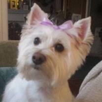 Gracie Block