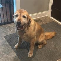 Sadie Hanna