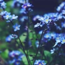 Rebecca "Becky" Walker