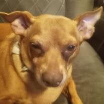 Pebbles Flannery