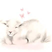 Infant Amelia Belle Rolin