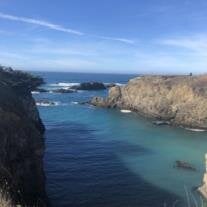 Lauri Janis Hollingsworth