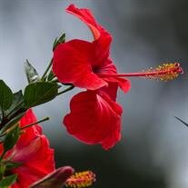 Sheryl Ann Goad