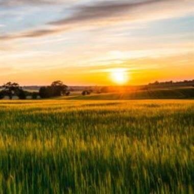 Thomas W "Whitey" Sperl