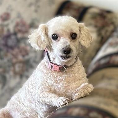 Chloe Jackson-Roldan