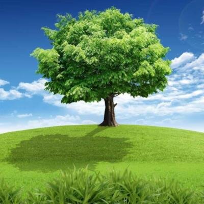 Kirt Alain Bordelon Sr.