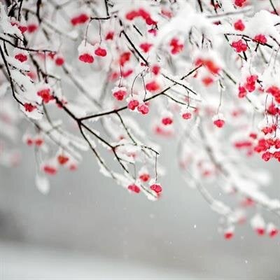 Walter Charles Hudson