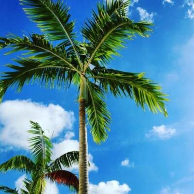 Cecil Orlando Parris