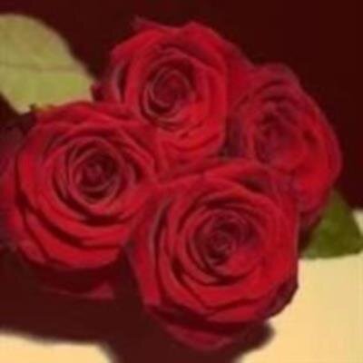 Wilma Christine Casperson