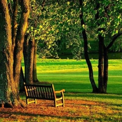 Nicholas Anthony Gravino