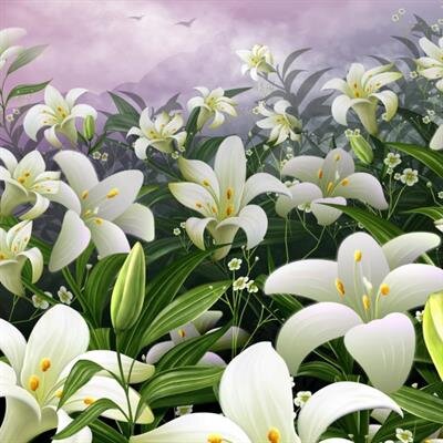 Susan M. Wilgus