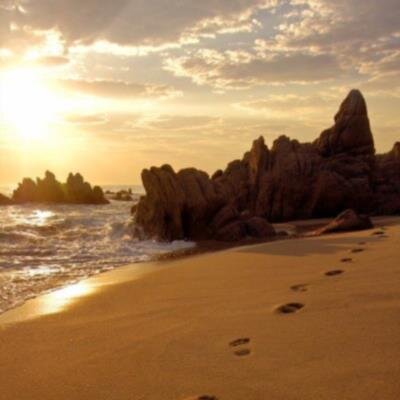 Charles Edward Sparks