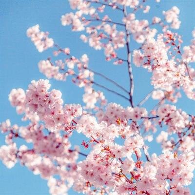 Jennifer Marie Miller