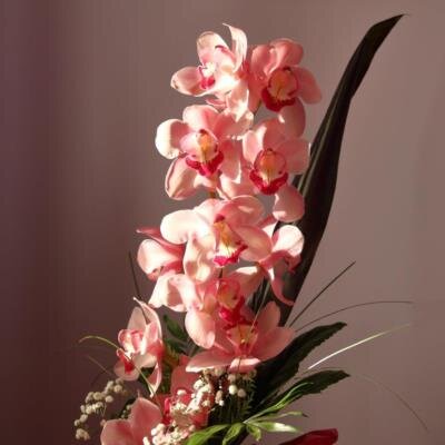 Debra Kay Genett
