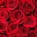 Mrs. Wanda M. Landrum Williams