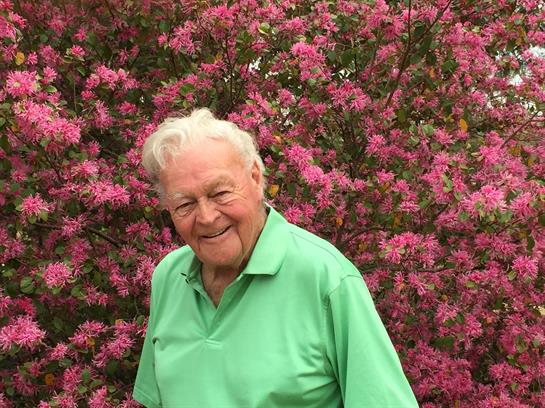 George Dickson, Houston Springs