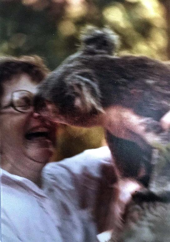 Jean S. Cunningham Images