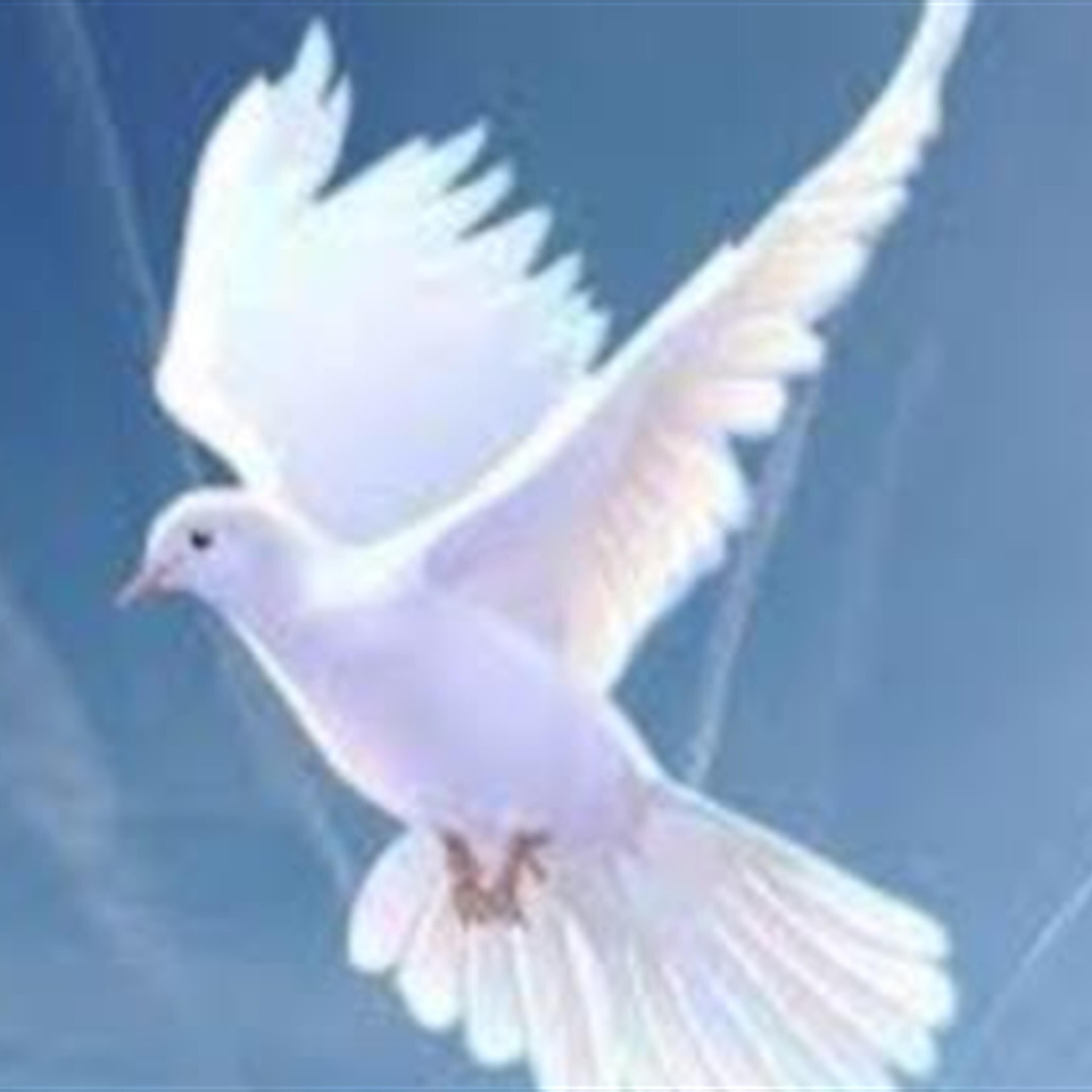 Memorial Service for Lynn Reanier