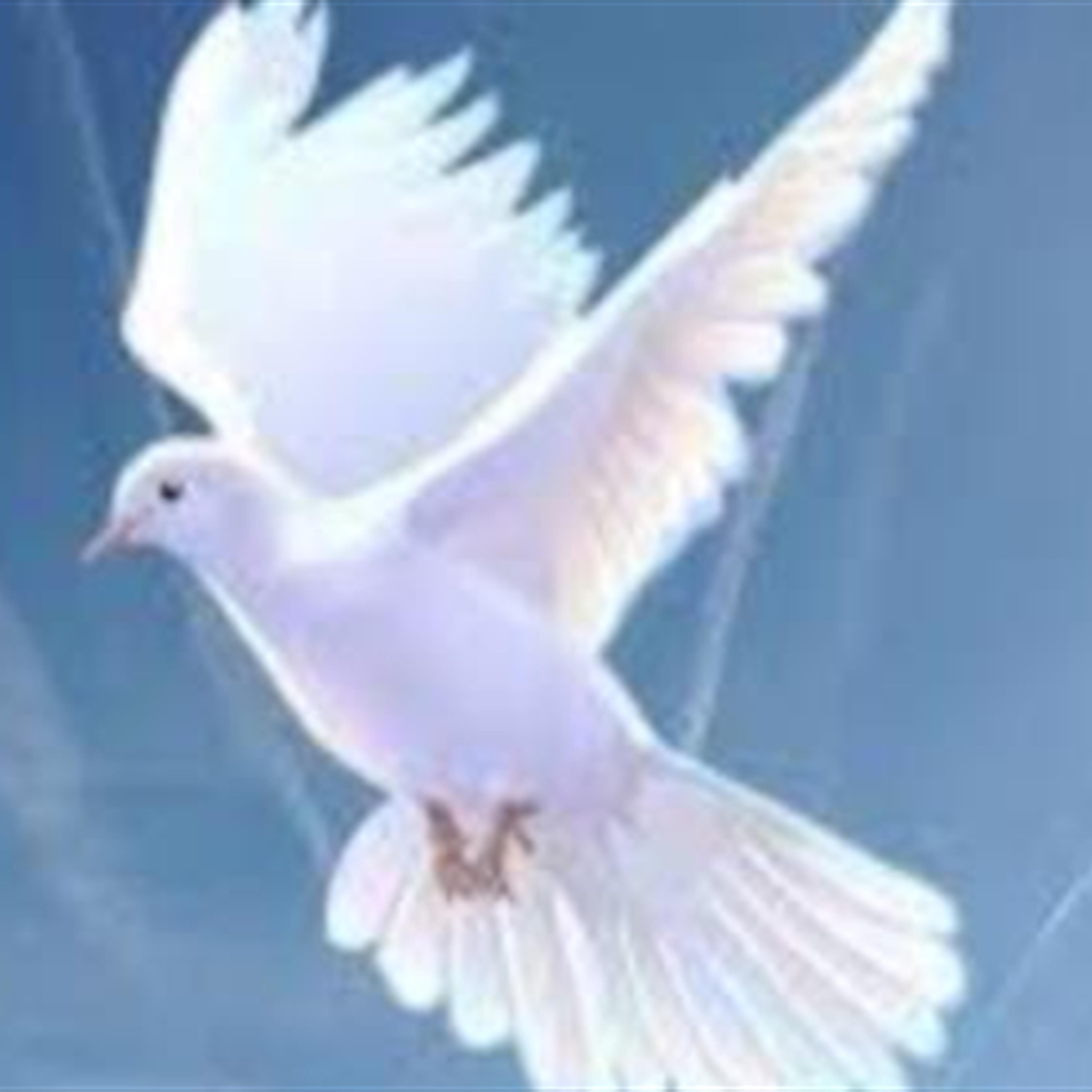 Rosary and Funeral Mass