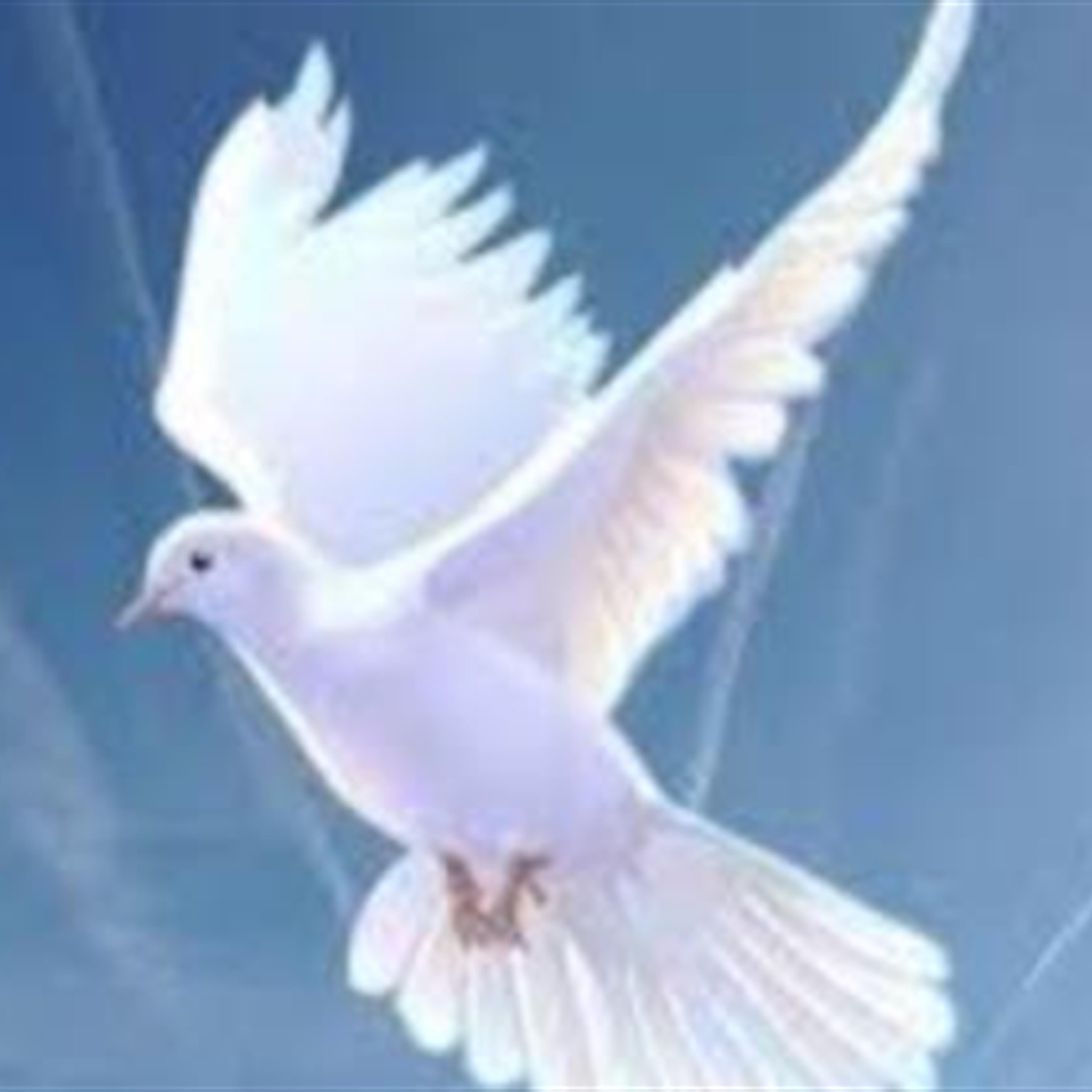 Roselyn Knox Funeral Service