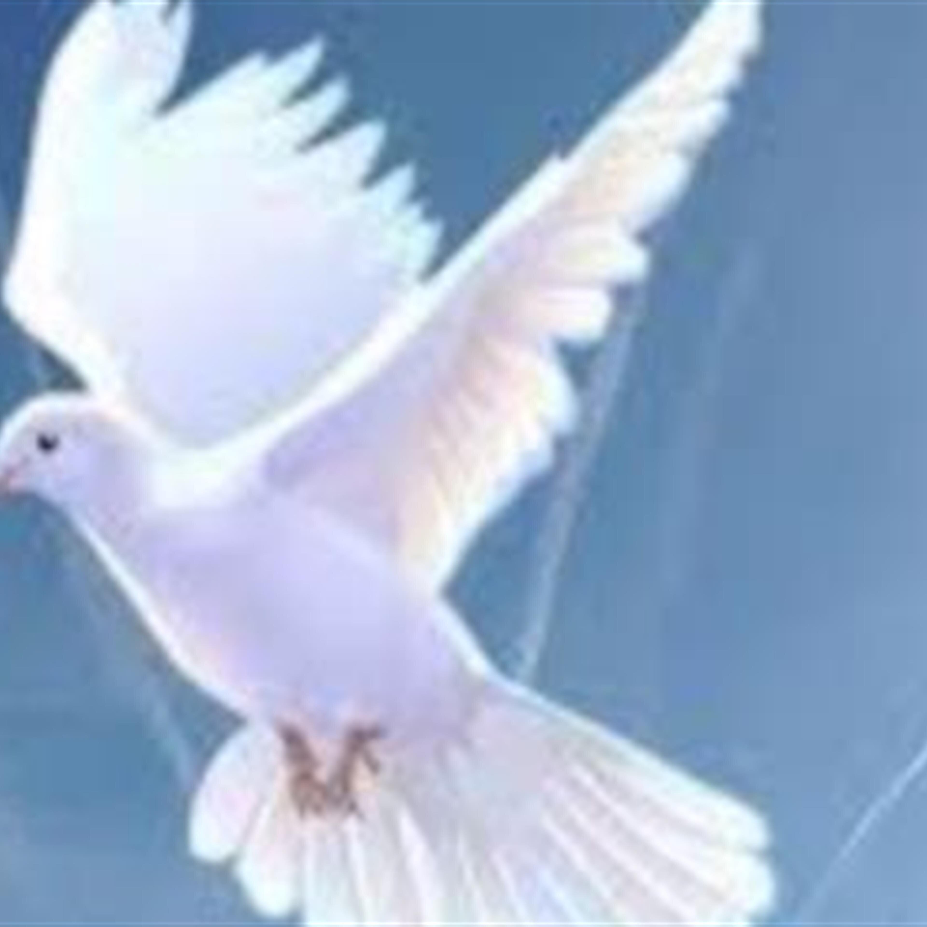 Anthony Petty Funeral Service