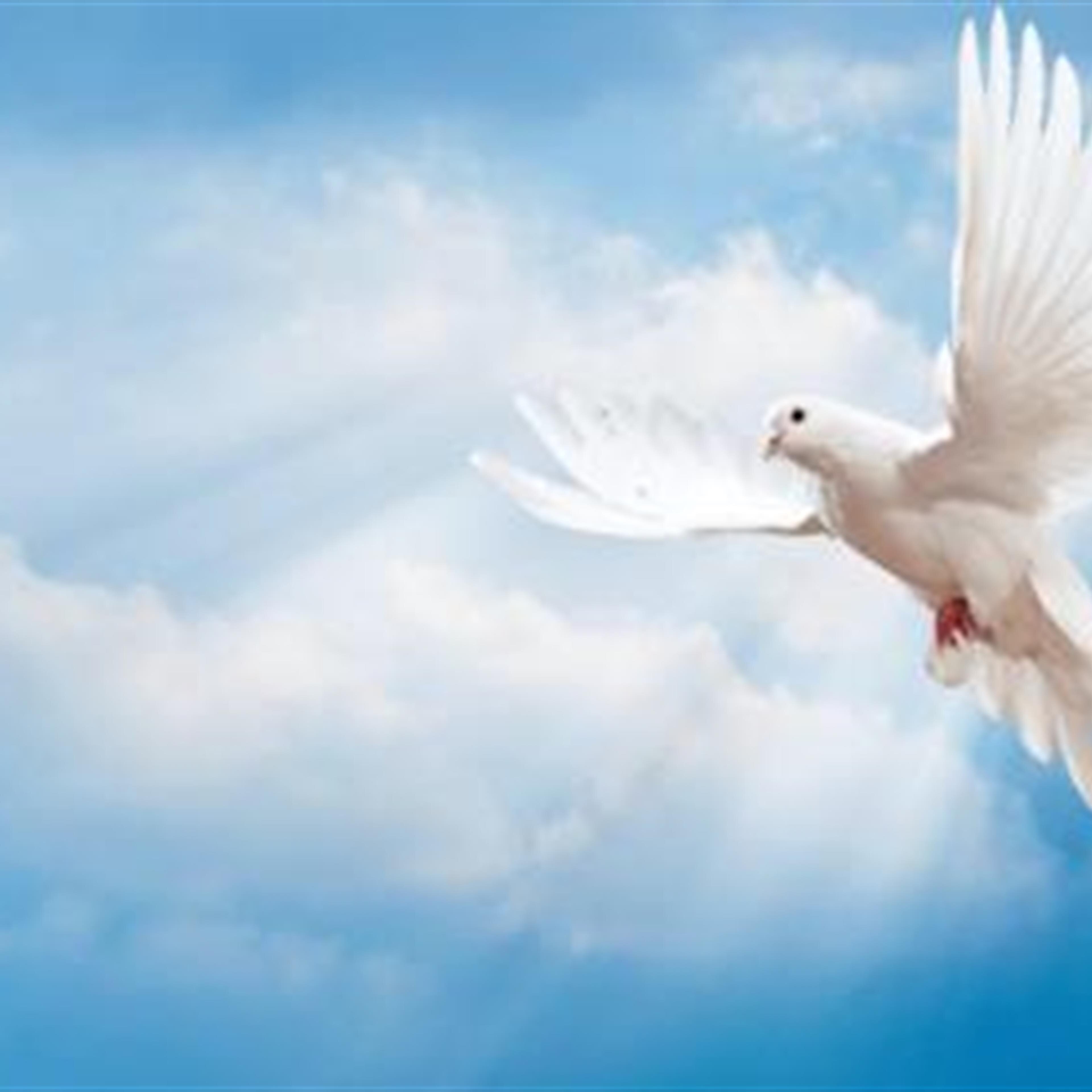 Johnny Balla Funeral Service