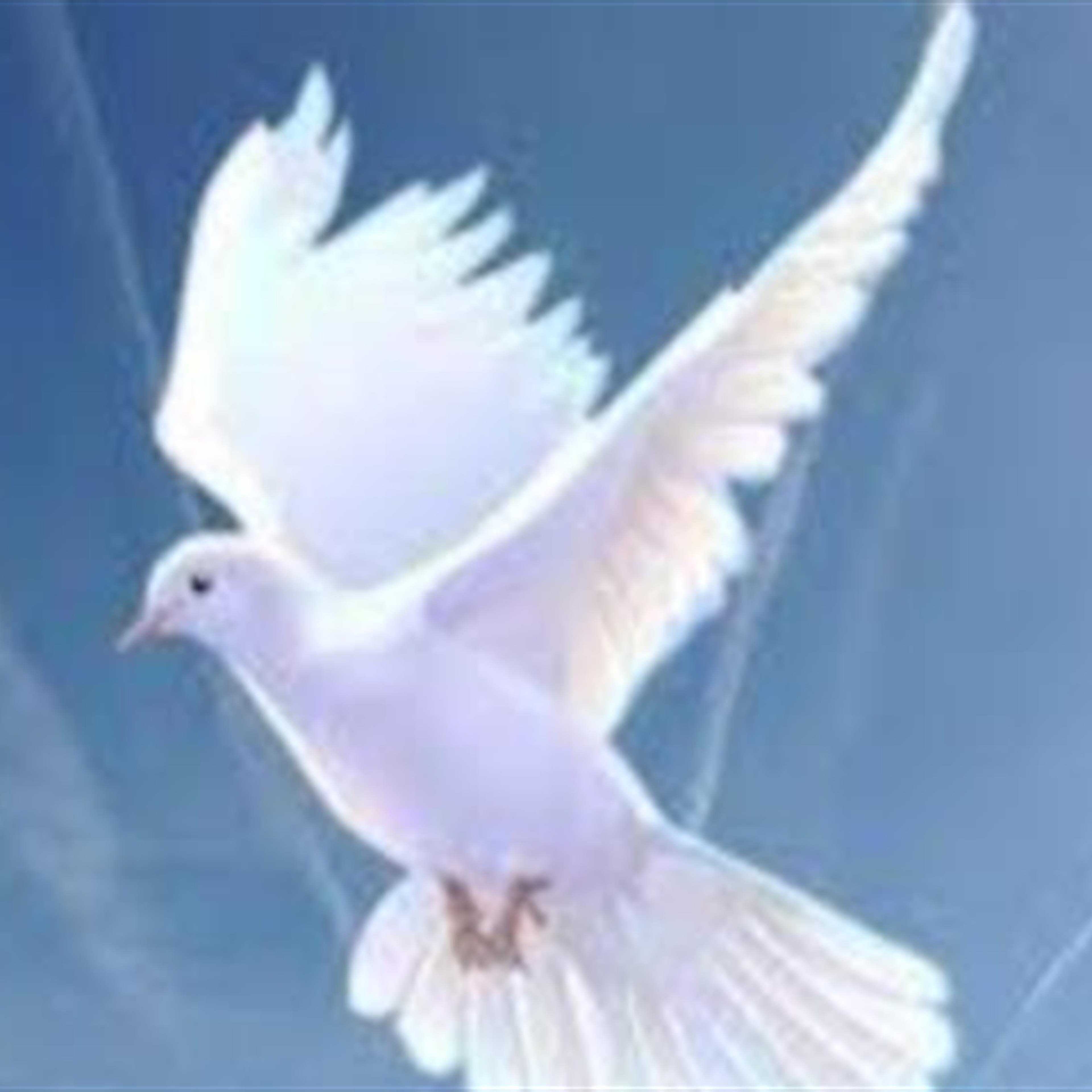 Titus Robinson III Funeral Service