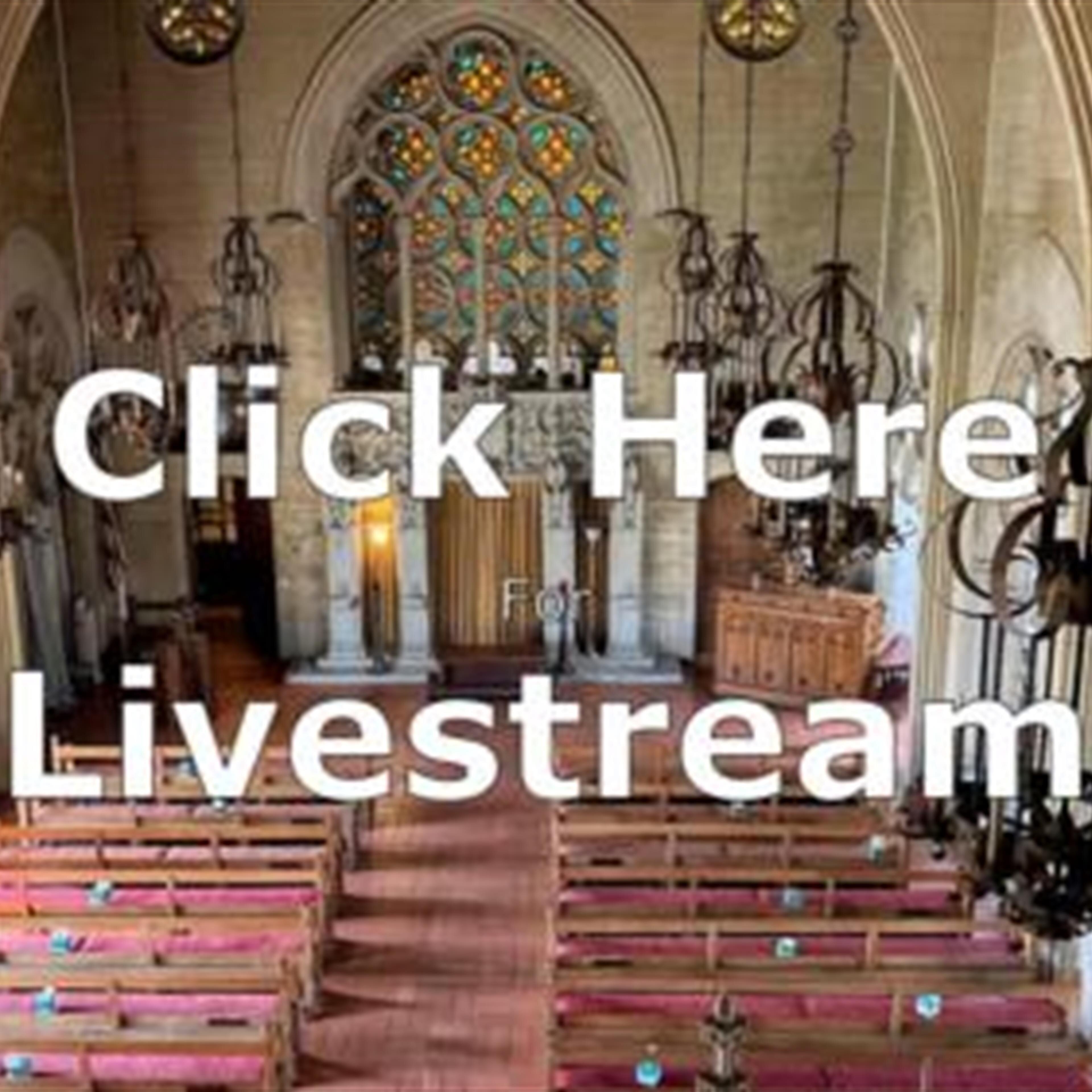 Livestream Link