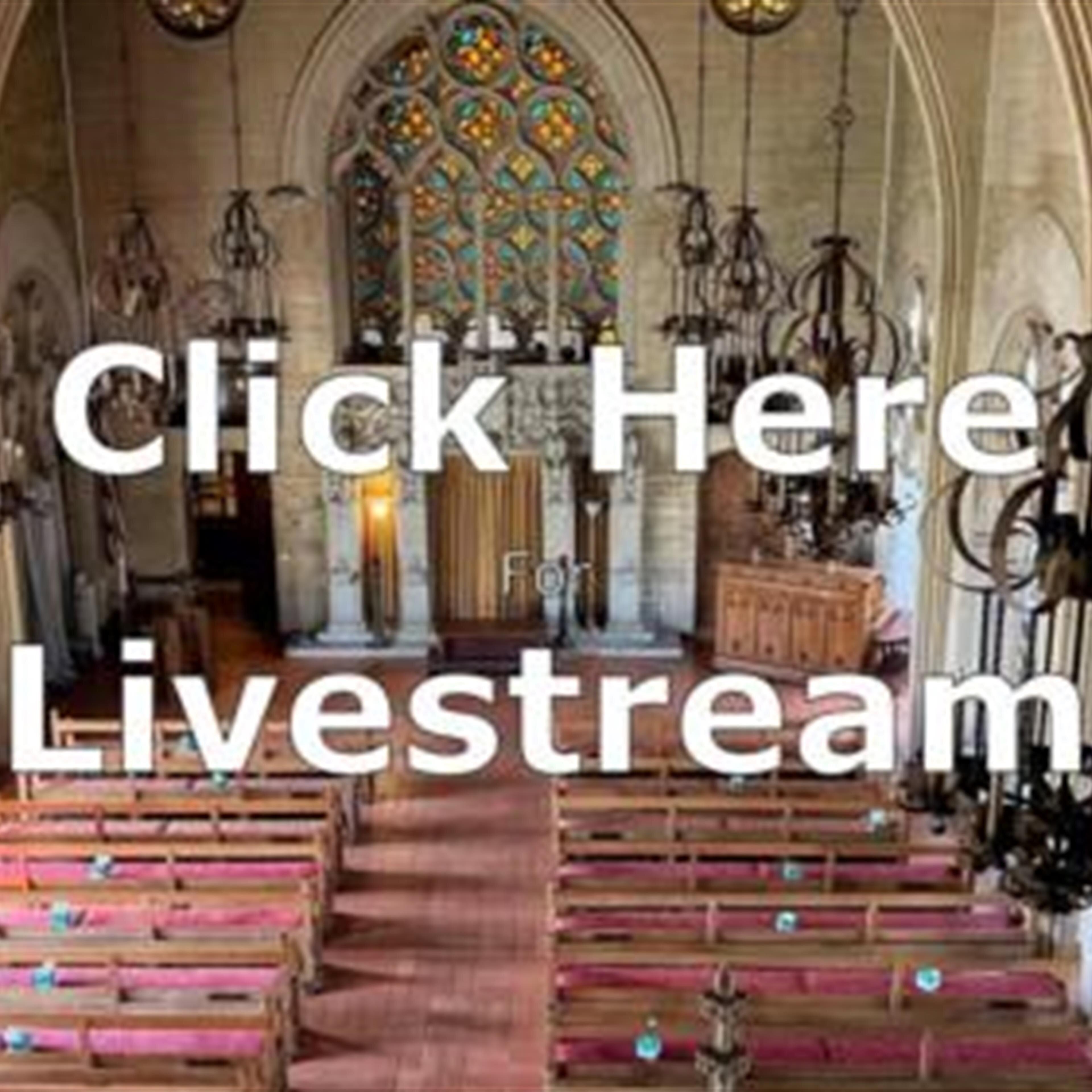 Webcast Video