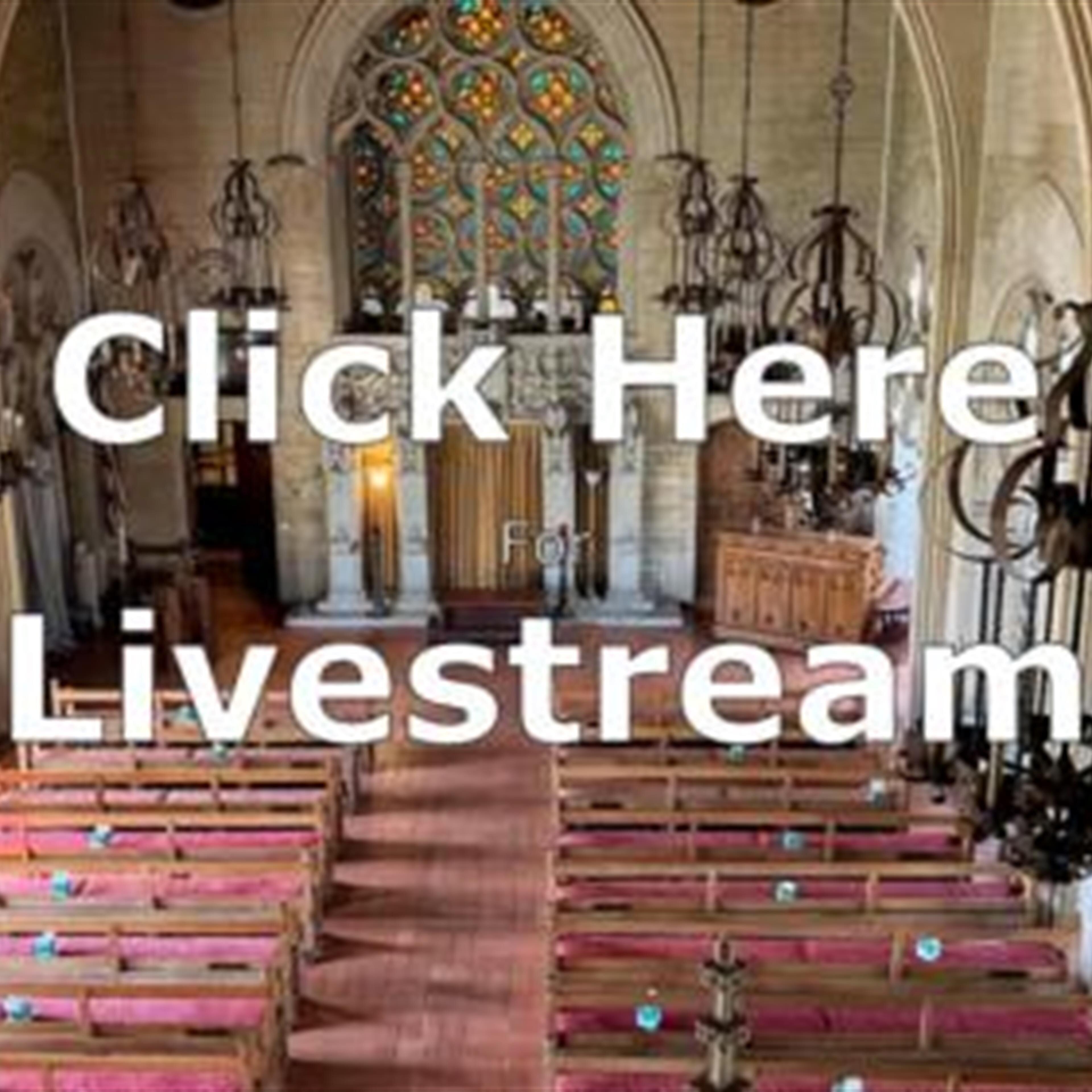 Helen Lekas Livestream