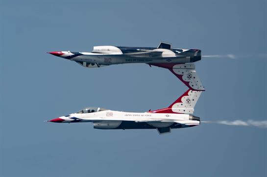 The T Birds and Family