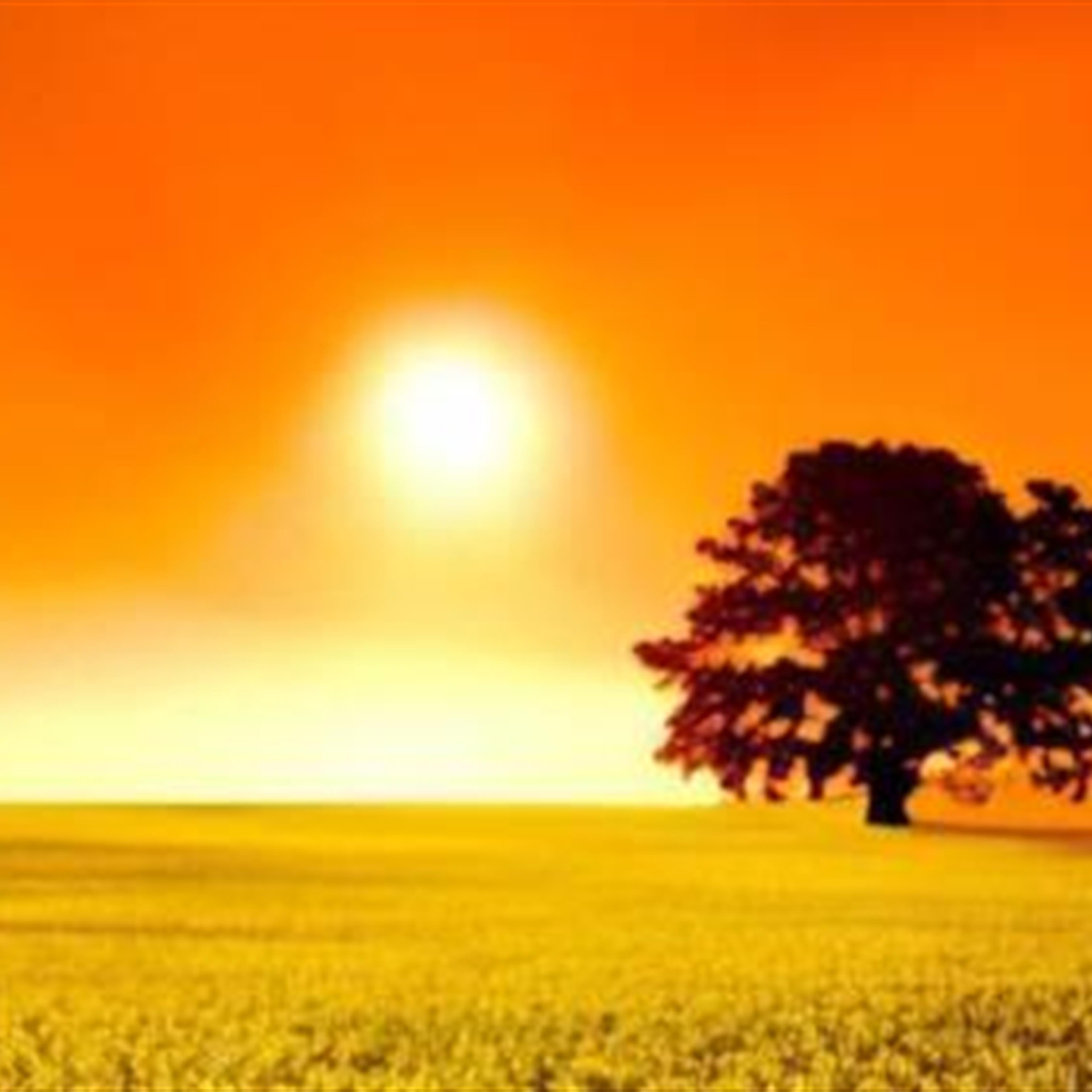 Ashton Logan Rice Live Stream