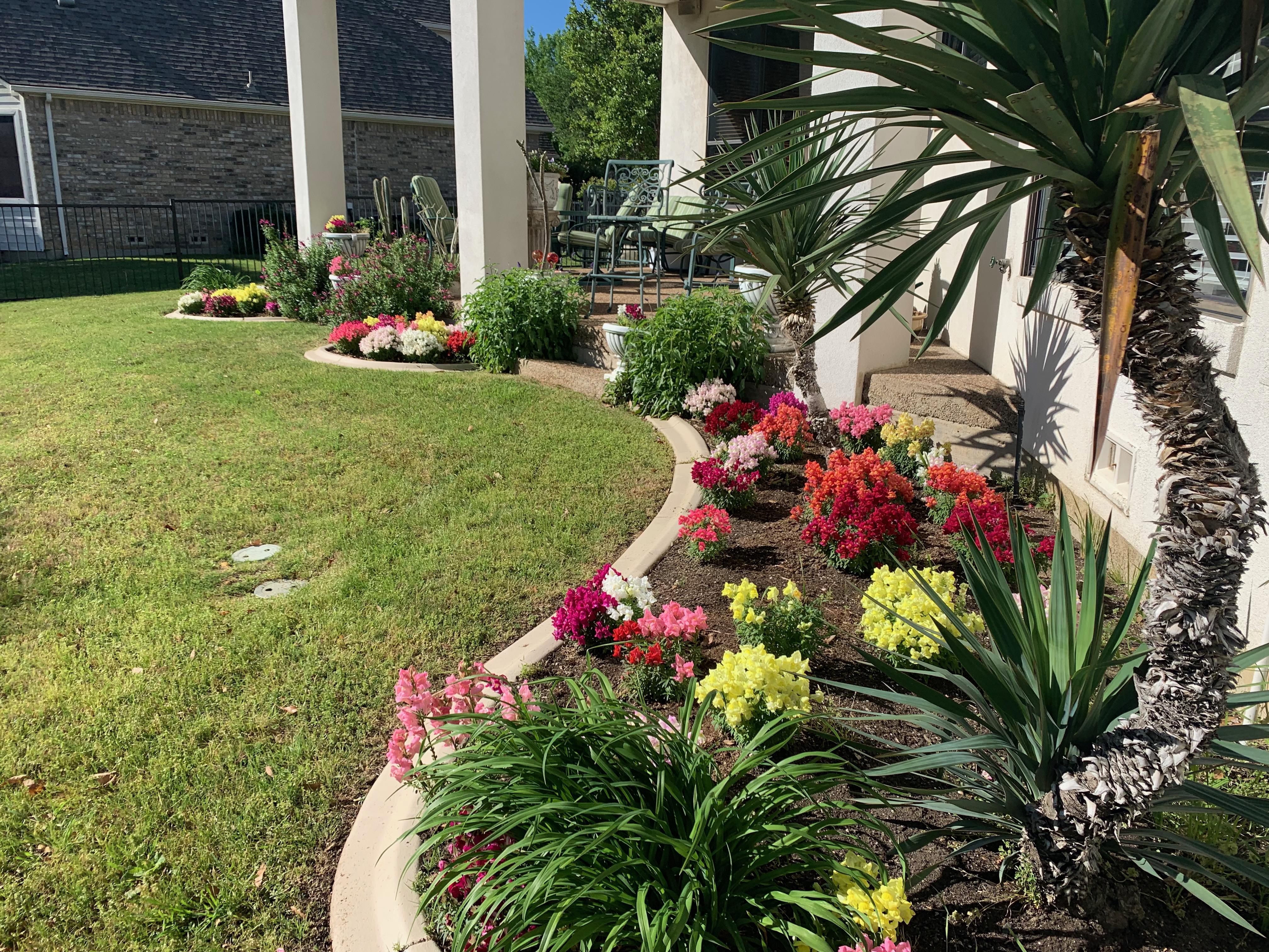 Memories from Nextdoor