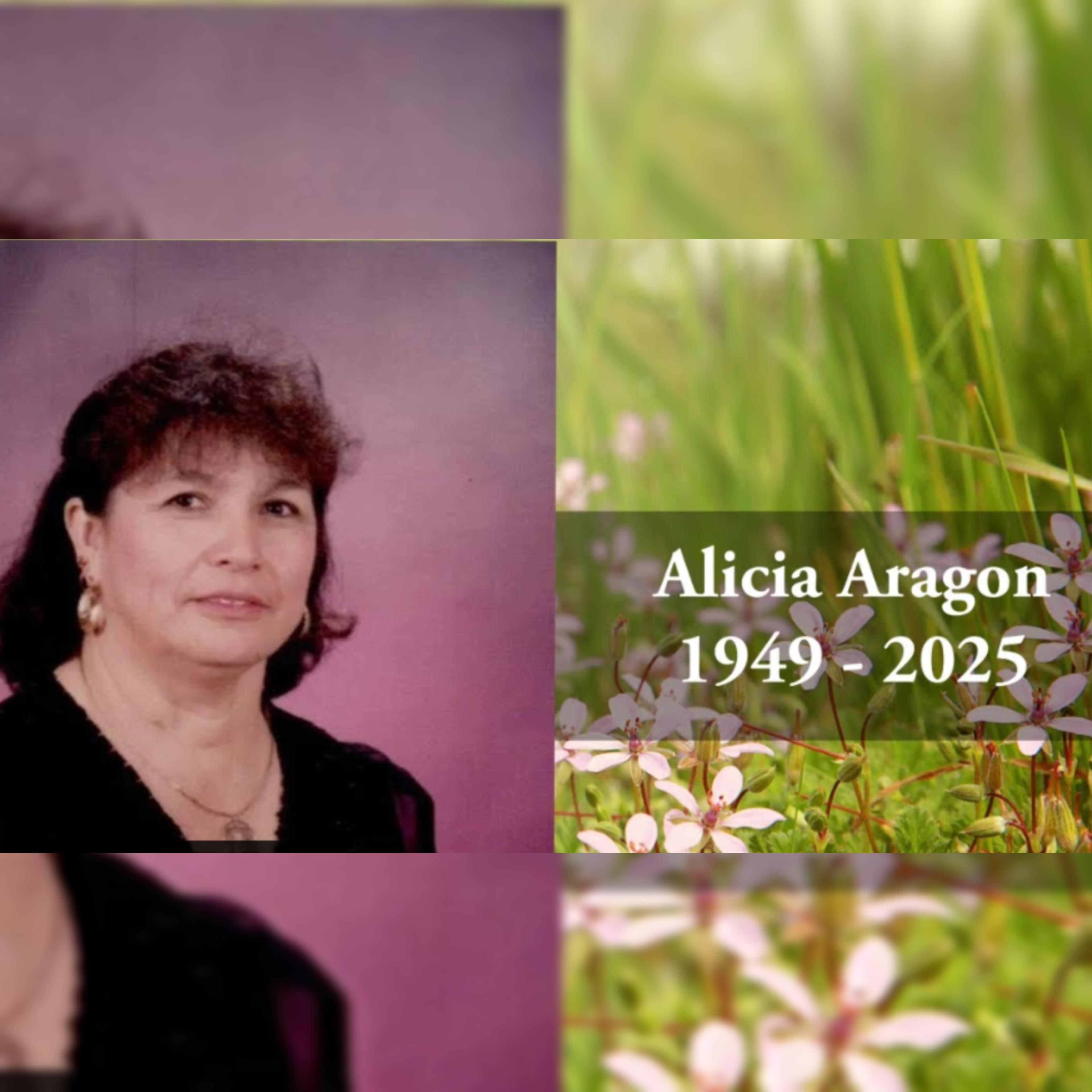 Rosary Livestream 9/30/25 at 7pm