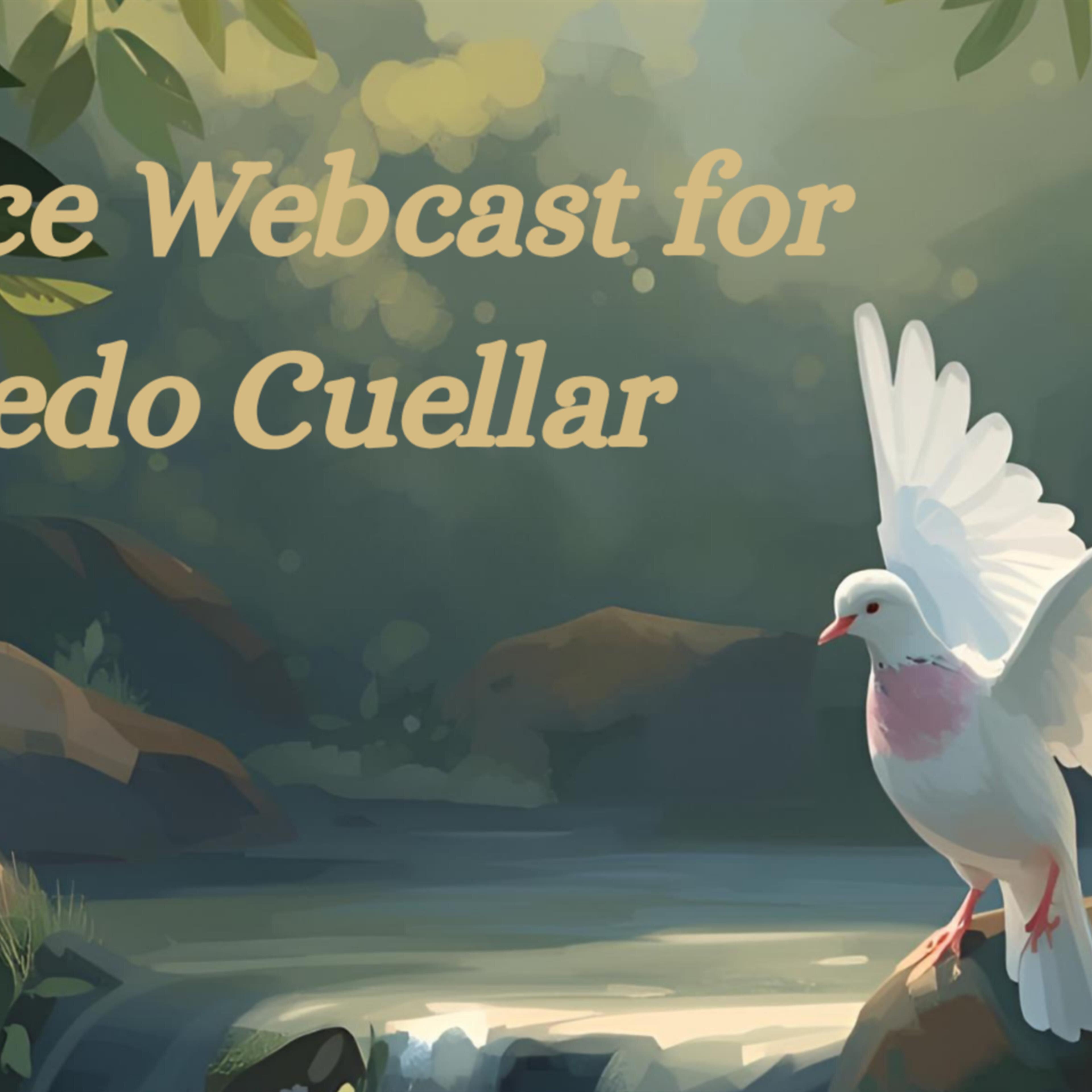 Webcast Video