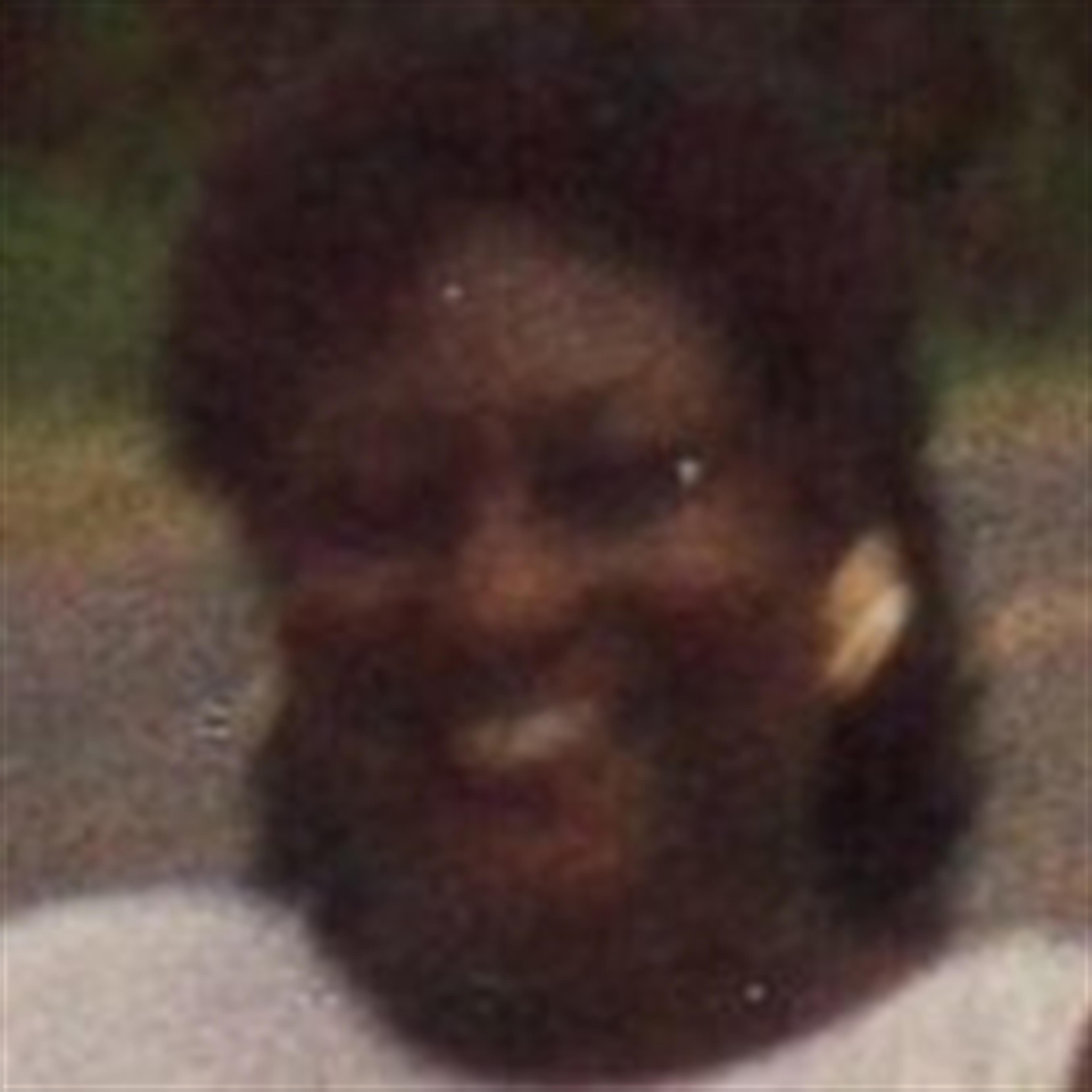 Georgia B. Lewis' obituary picture