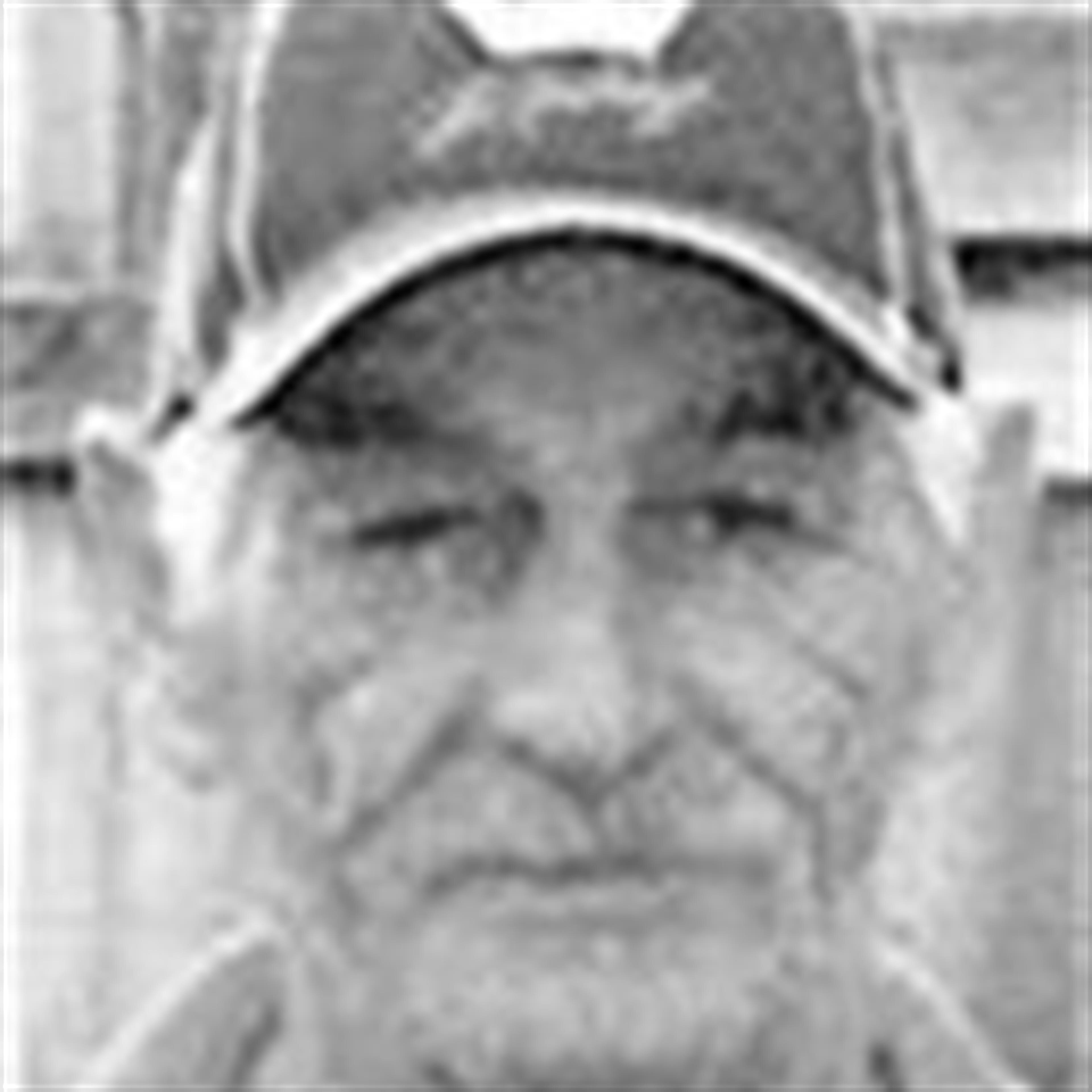 Stephen L. Brimer