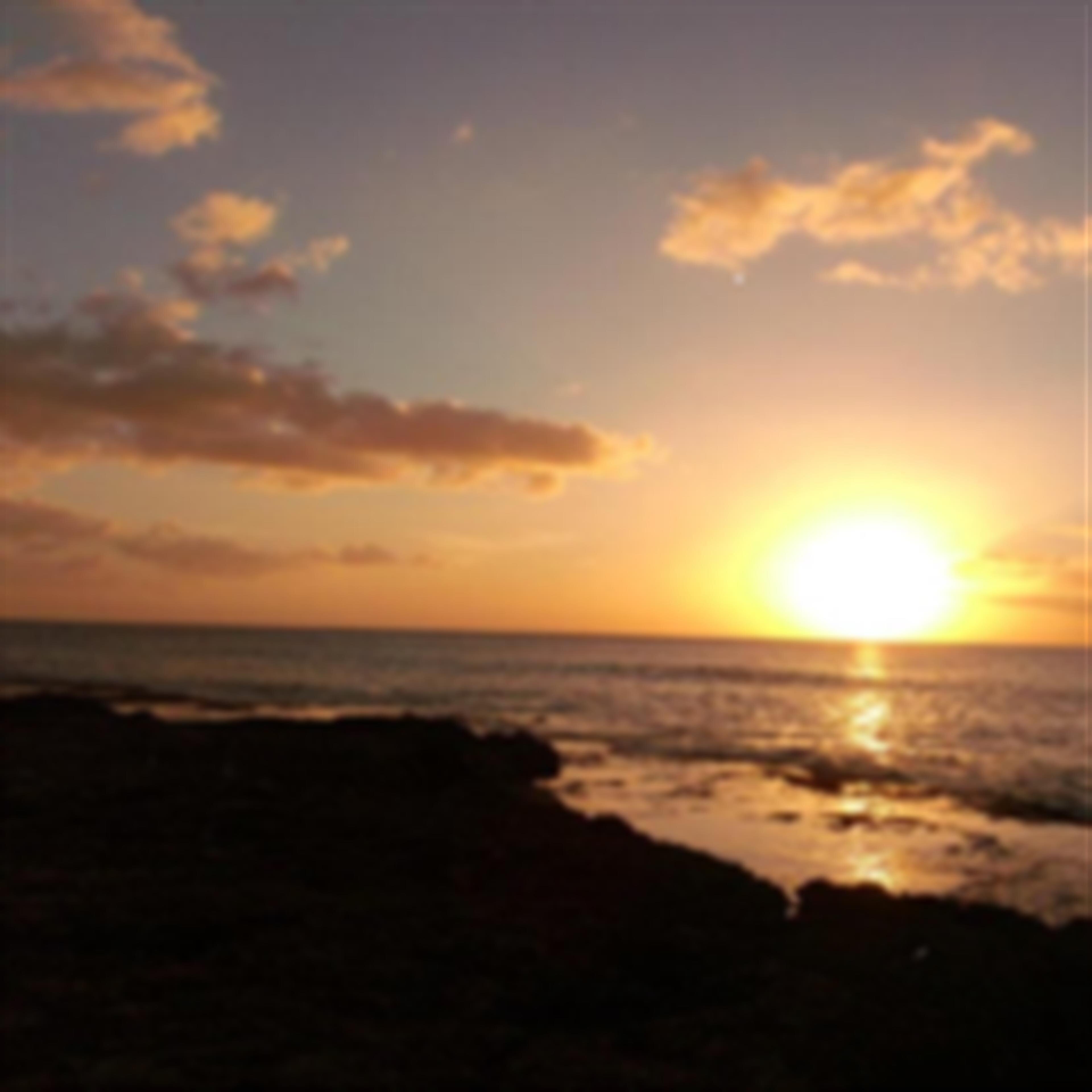 Lynn "Lehua" Suemi Splater 