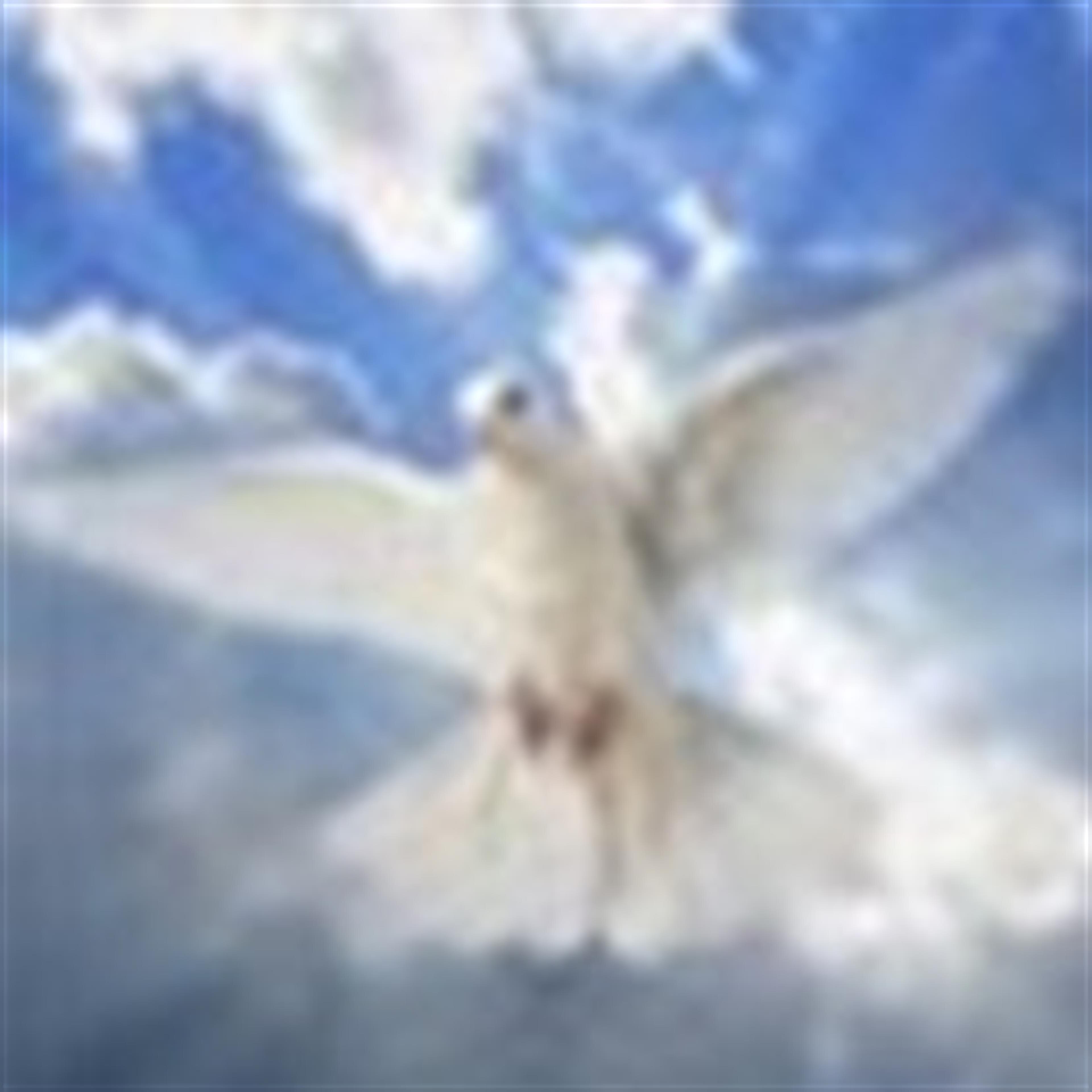 JOYCE HELEN MOORE MAYHEW