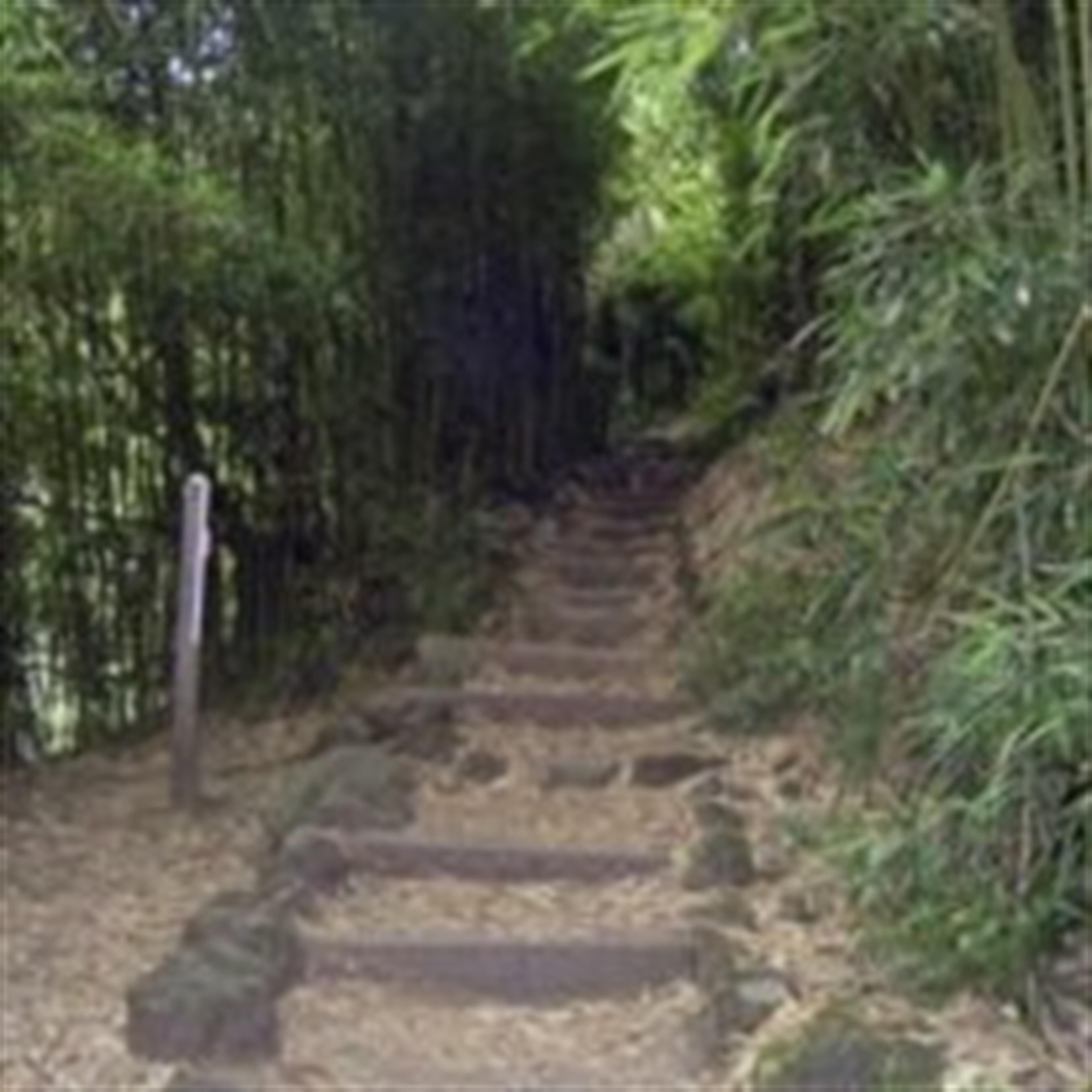 Tamotsu Takahama