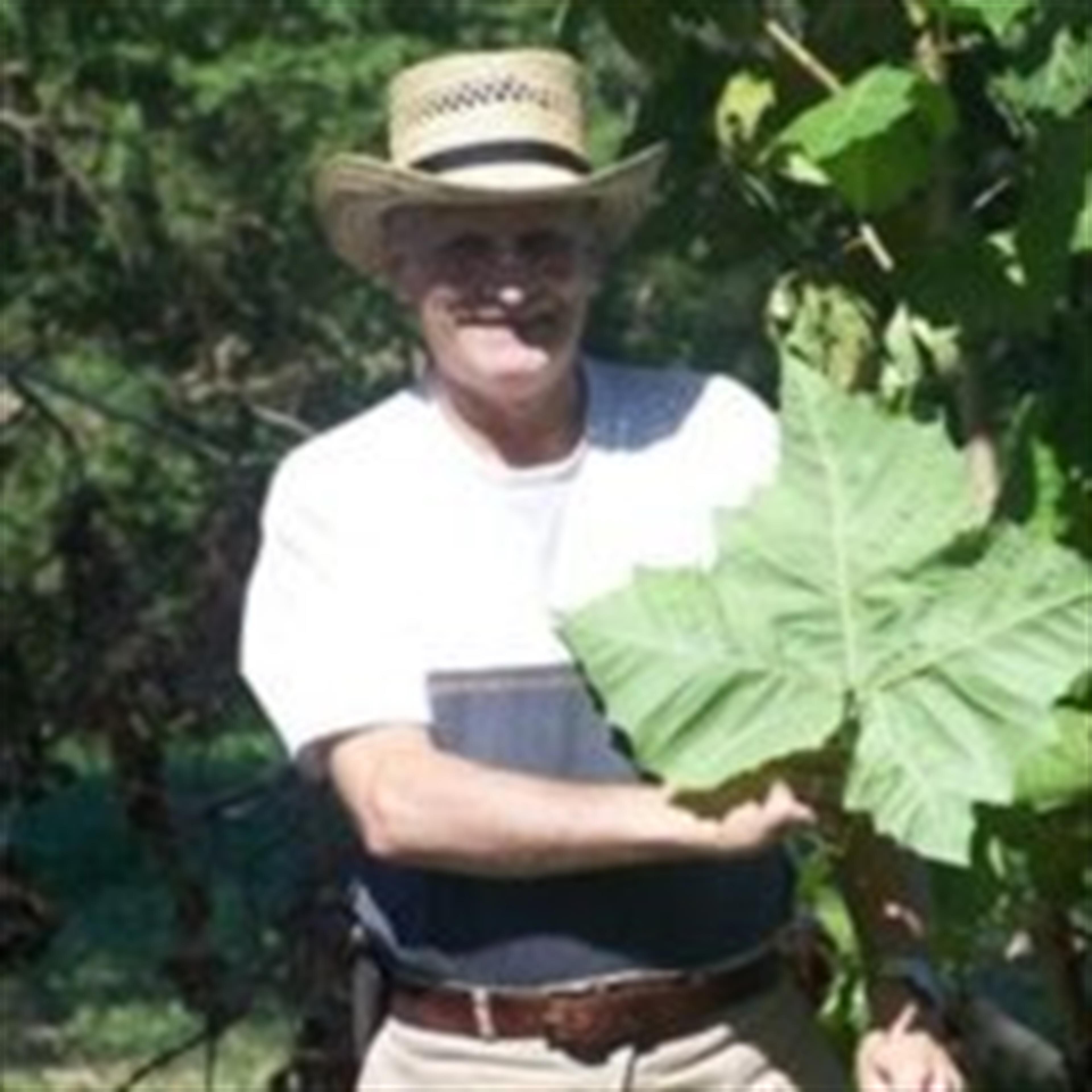 Norman L. Murray