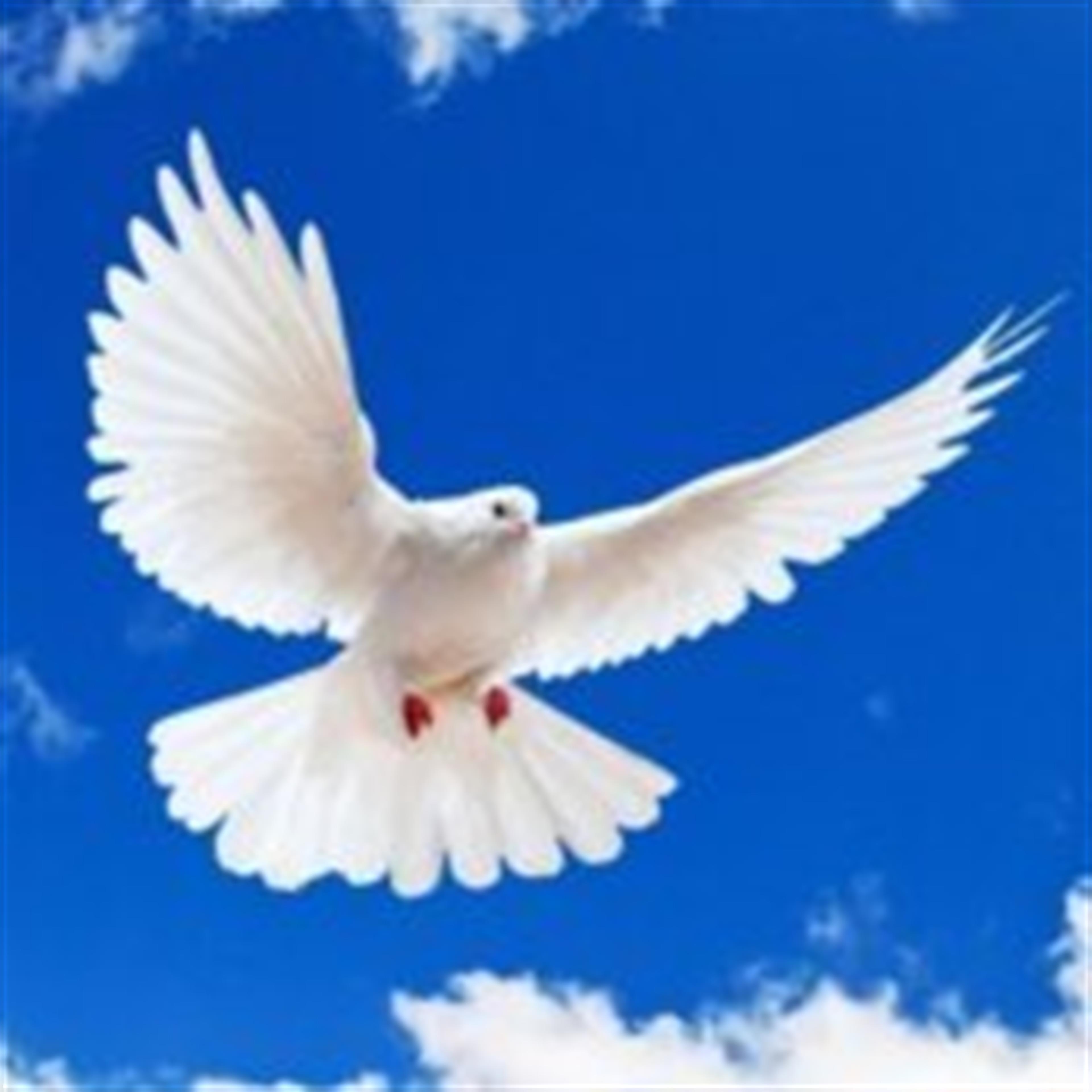 Elizabeth Bryant Carter's obituary picture