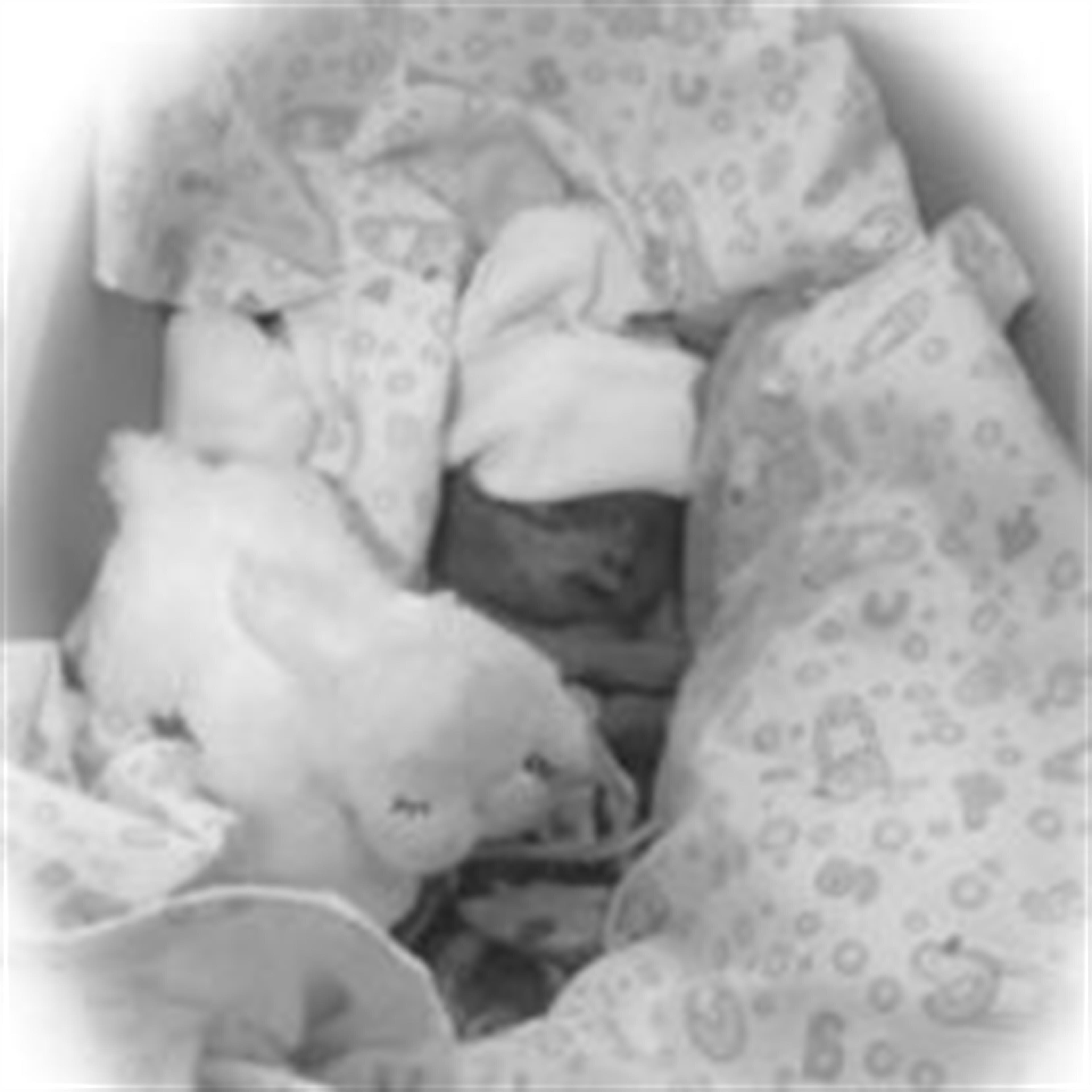 Benjamin Chase Strieper Goranson