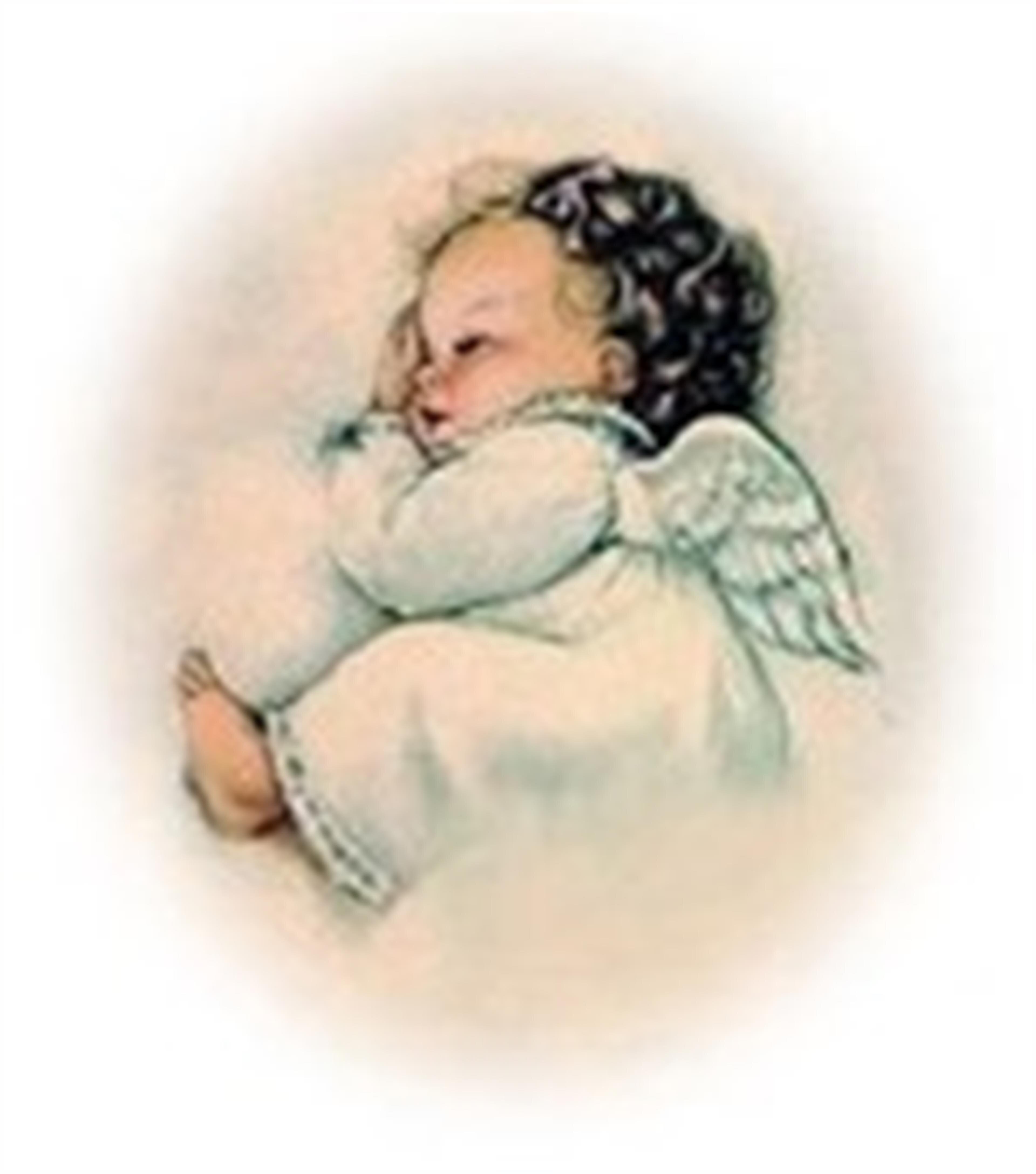 Elizabeth Drew Stephens