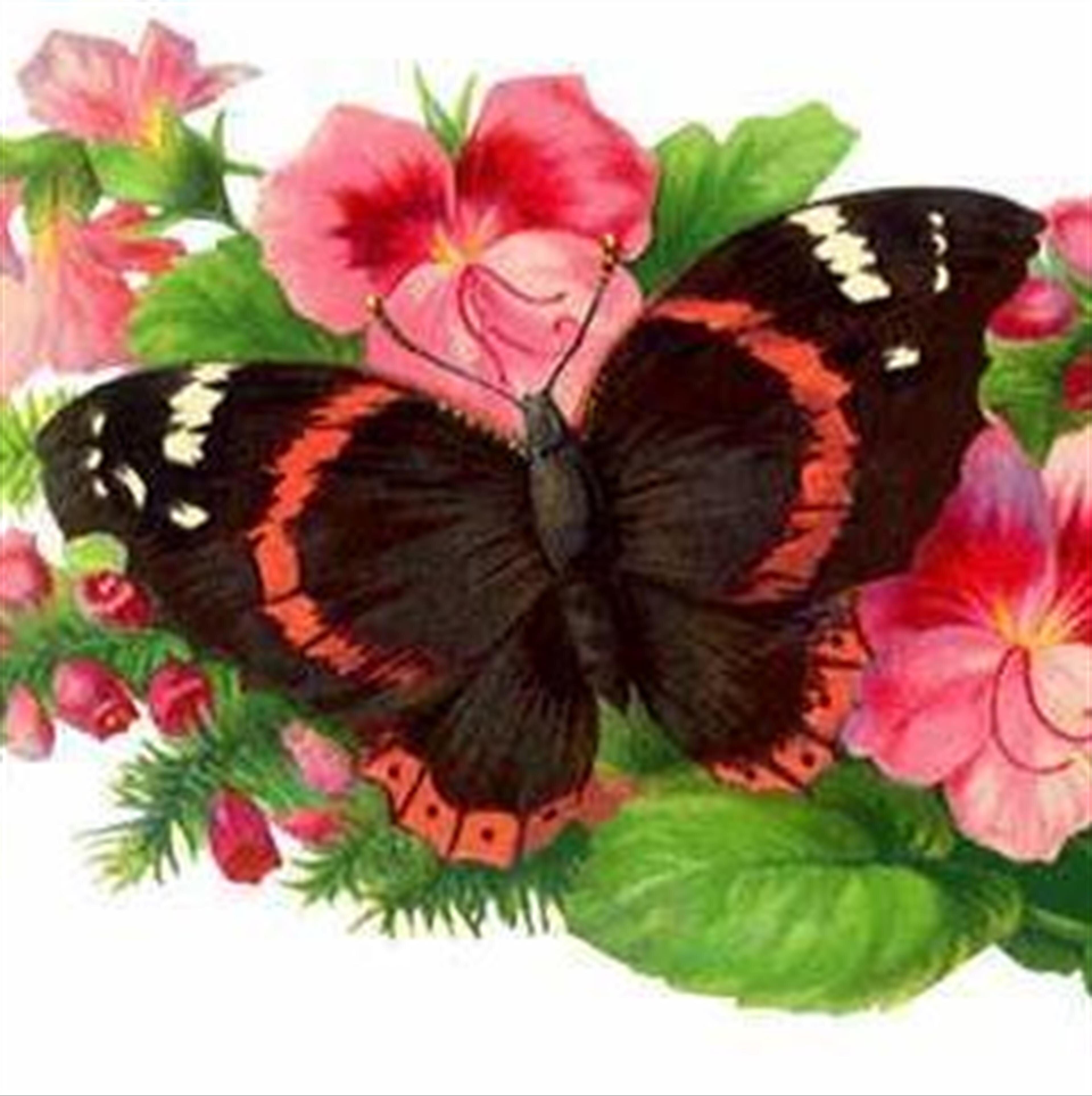 Irene A.  Nokes