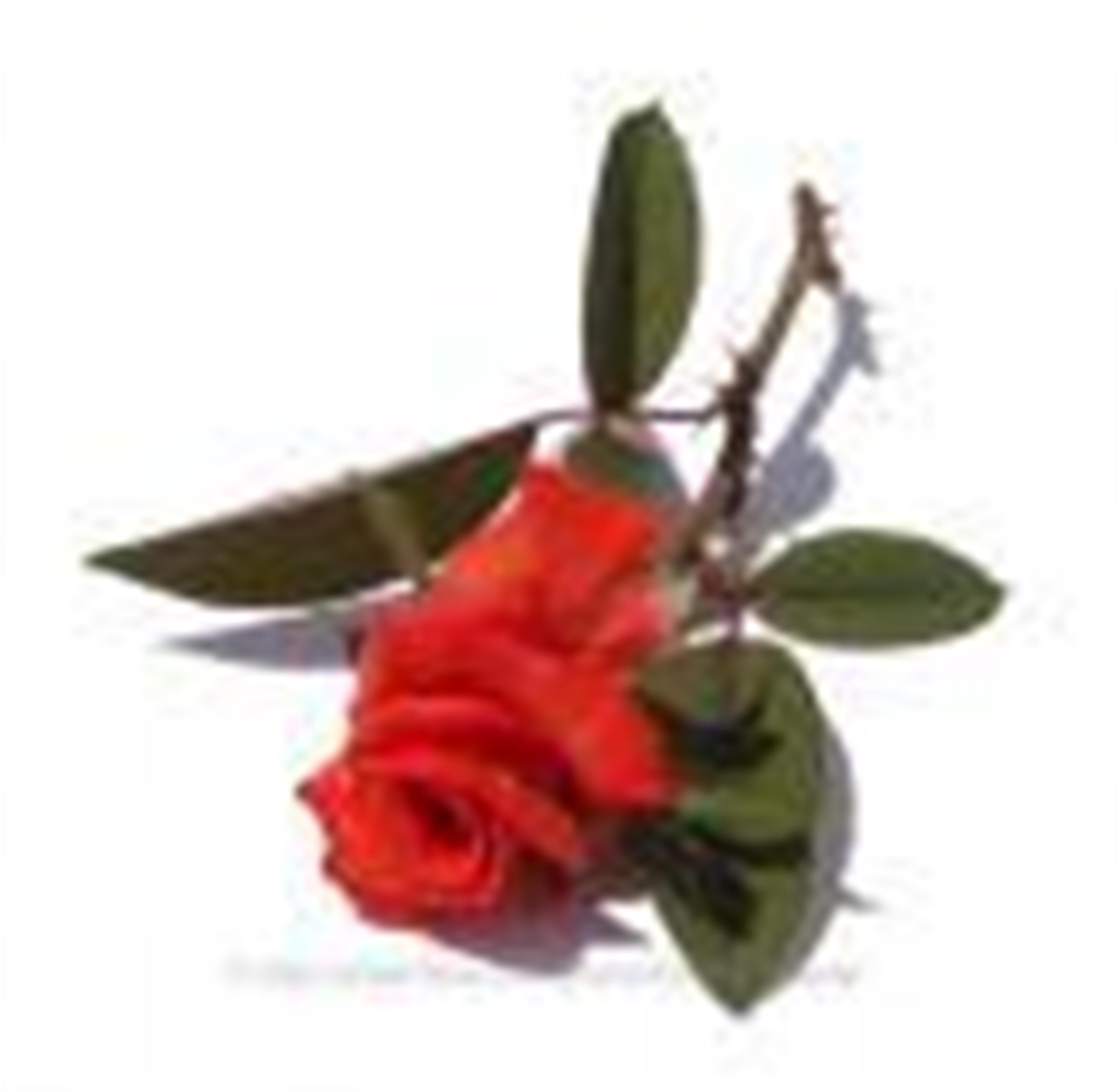 Myrtle Marjorie KELLEY