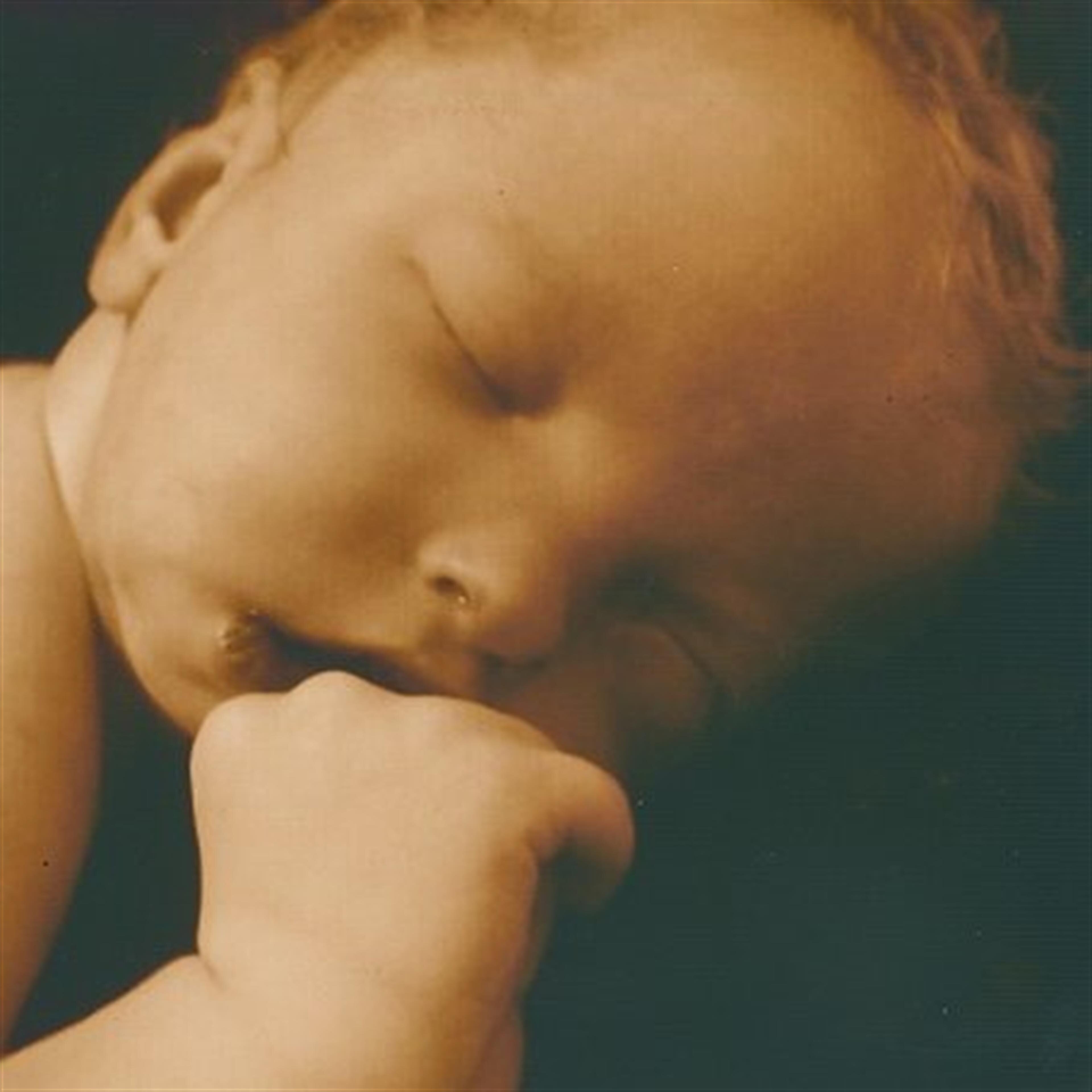 McCoy Roar Davis (Mansfield)
