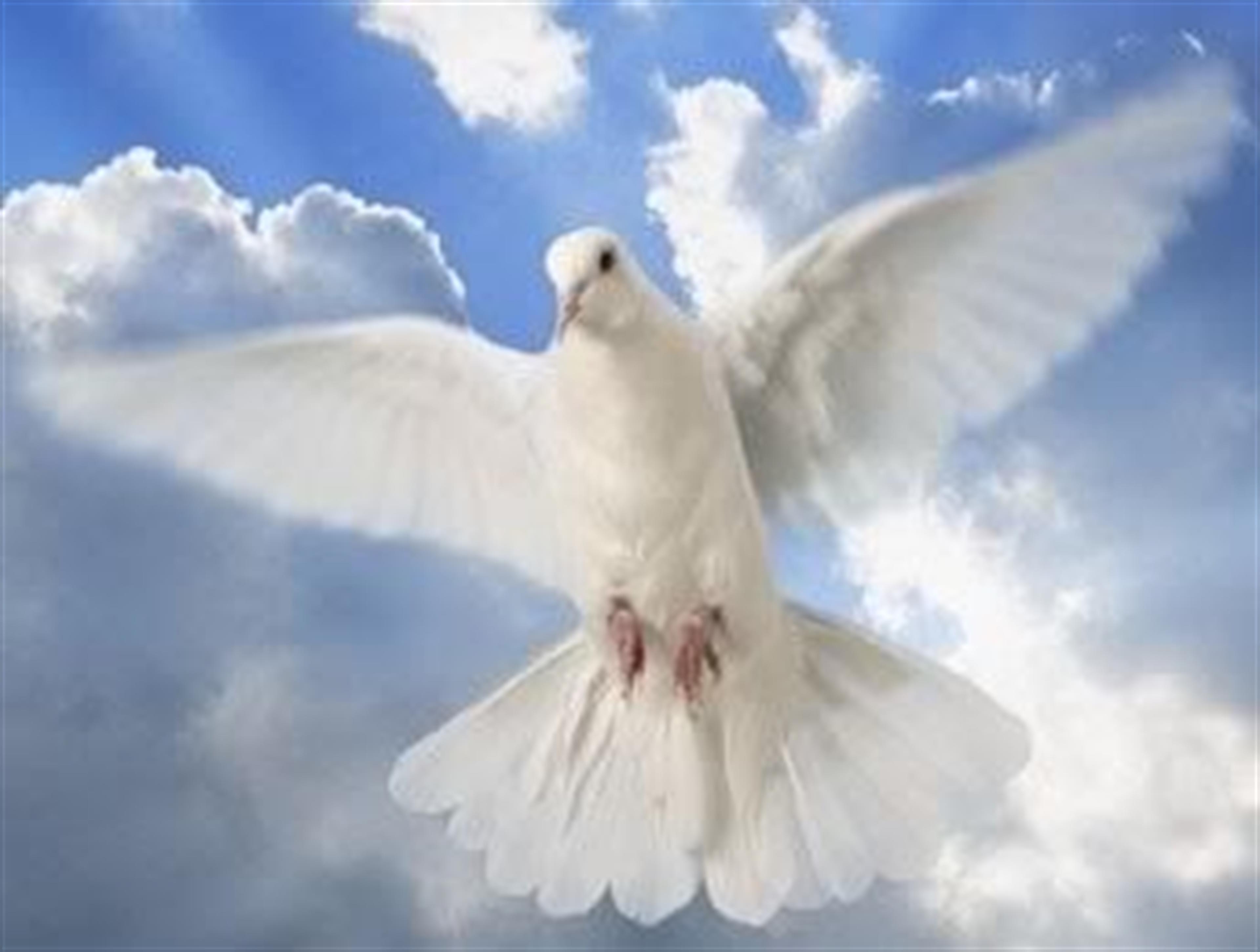 Mrs. Gisela Dyson Henke