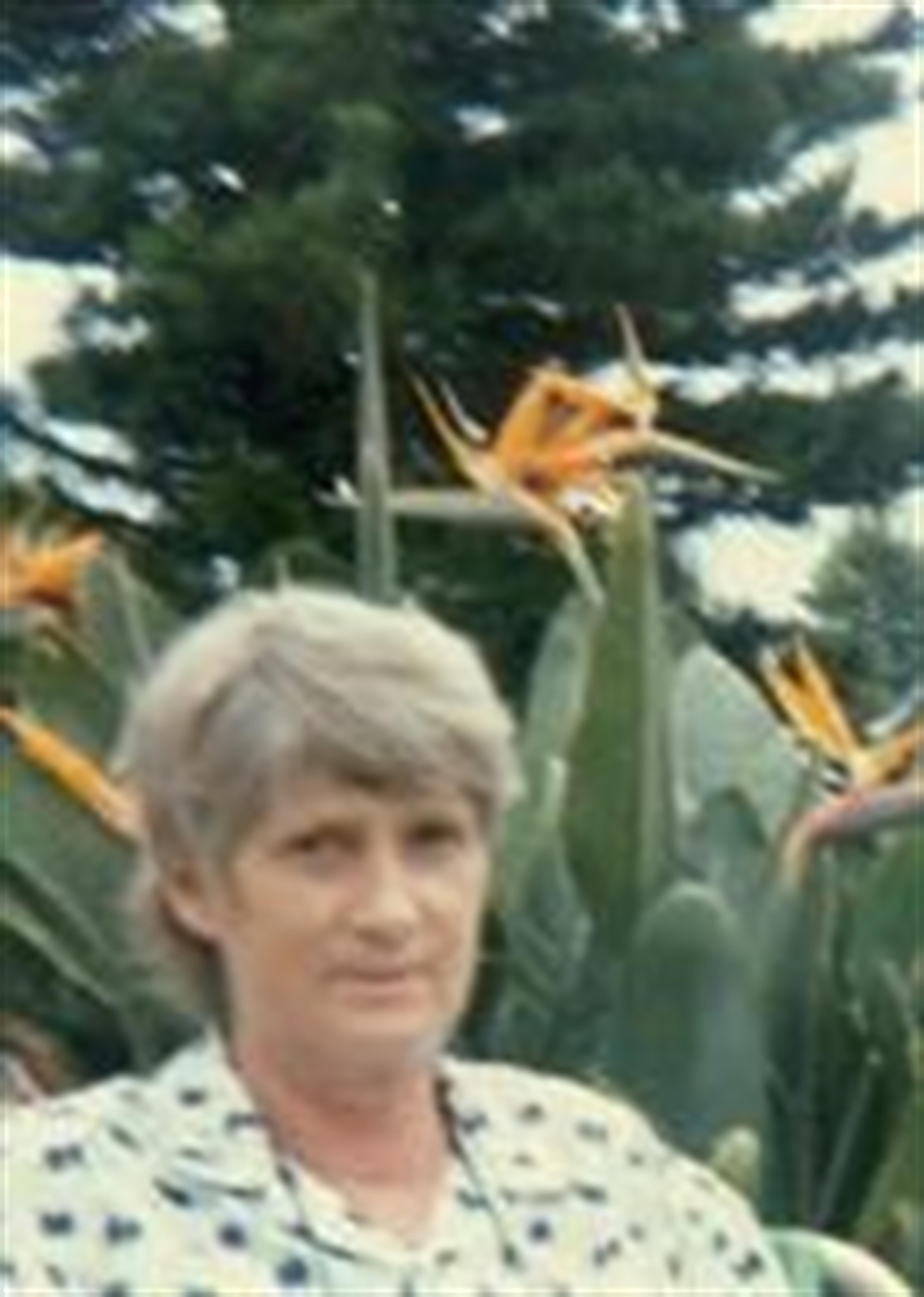 Elizabeth A. Einherst