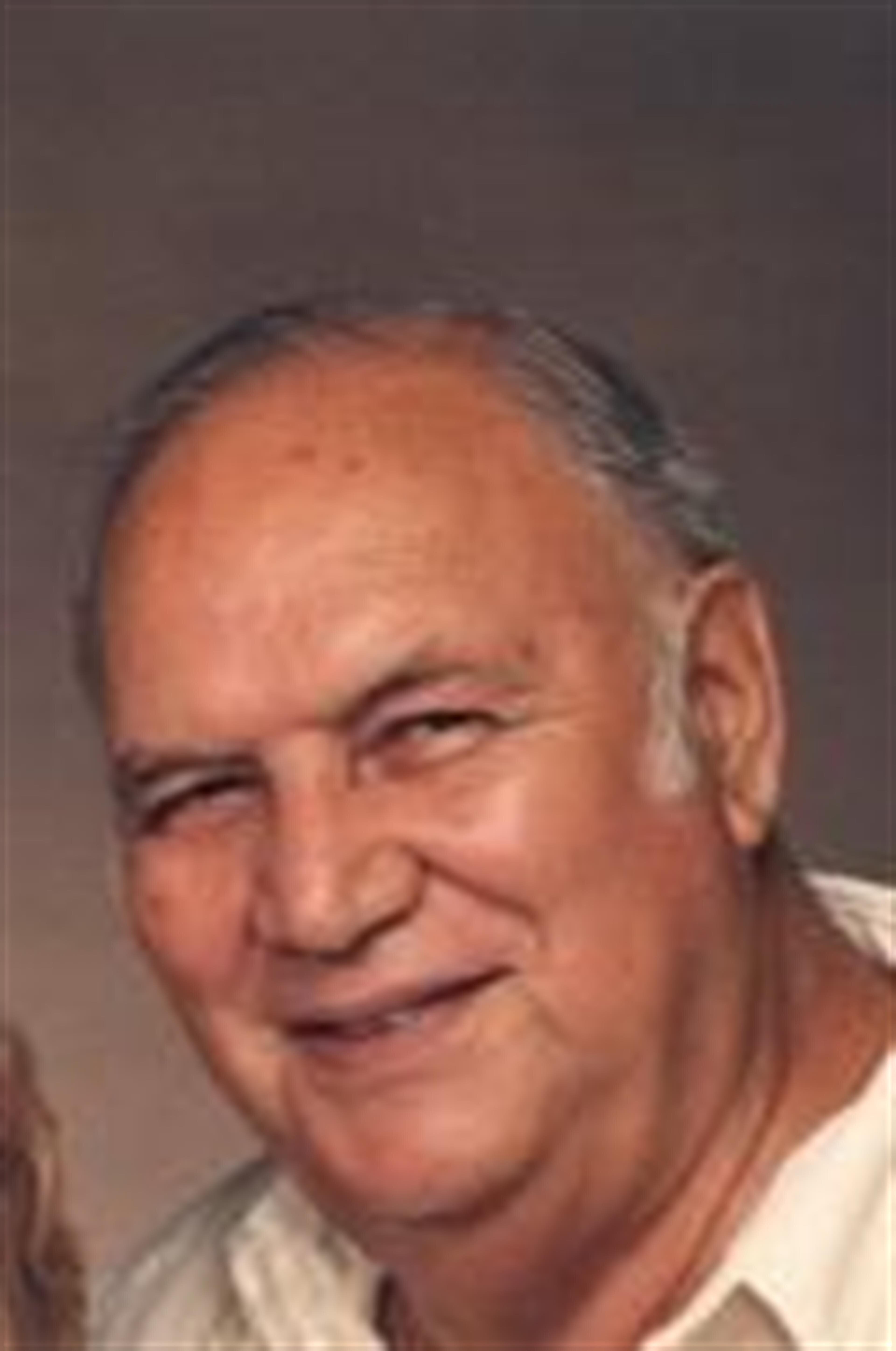 Henry L. Vizenor